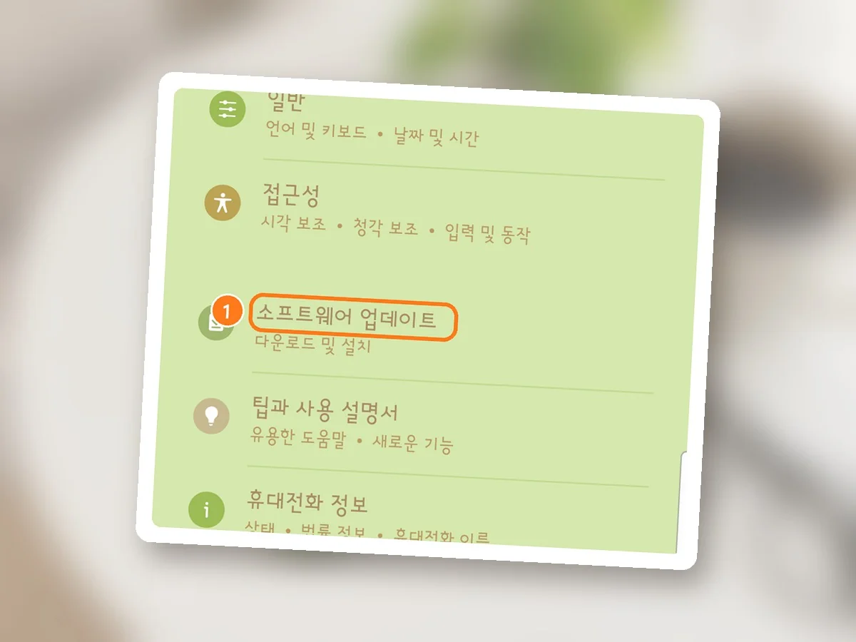 설정 화면 아래쪽, 소프트웨어 업데이트 줄에 주황 테두리