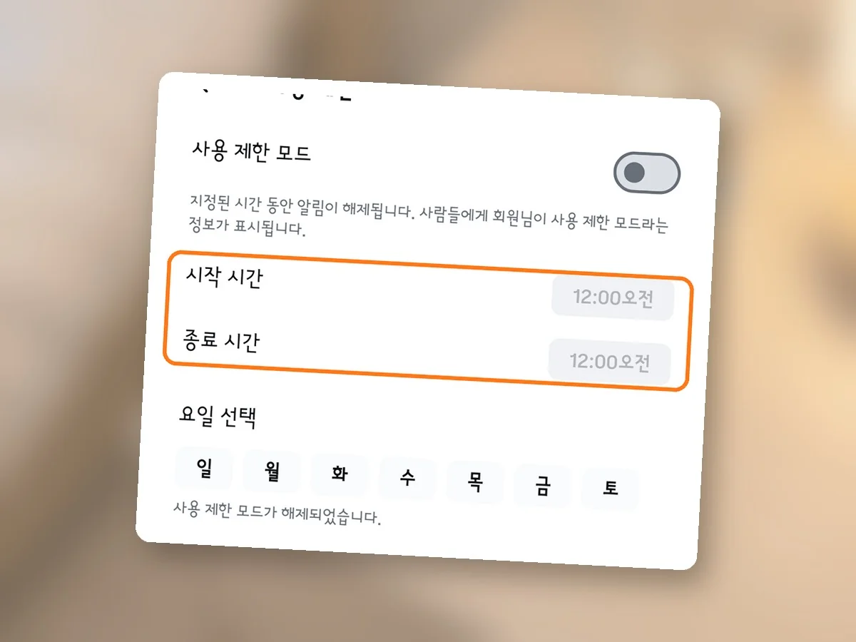 사용 제한 모드 화면, 시작 시간과 종료 시간 줄에 주황 테두리, 둘 다 12:00오전