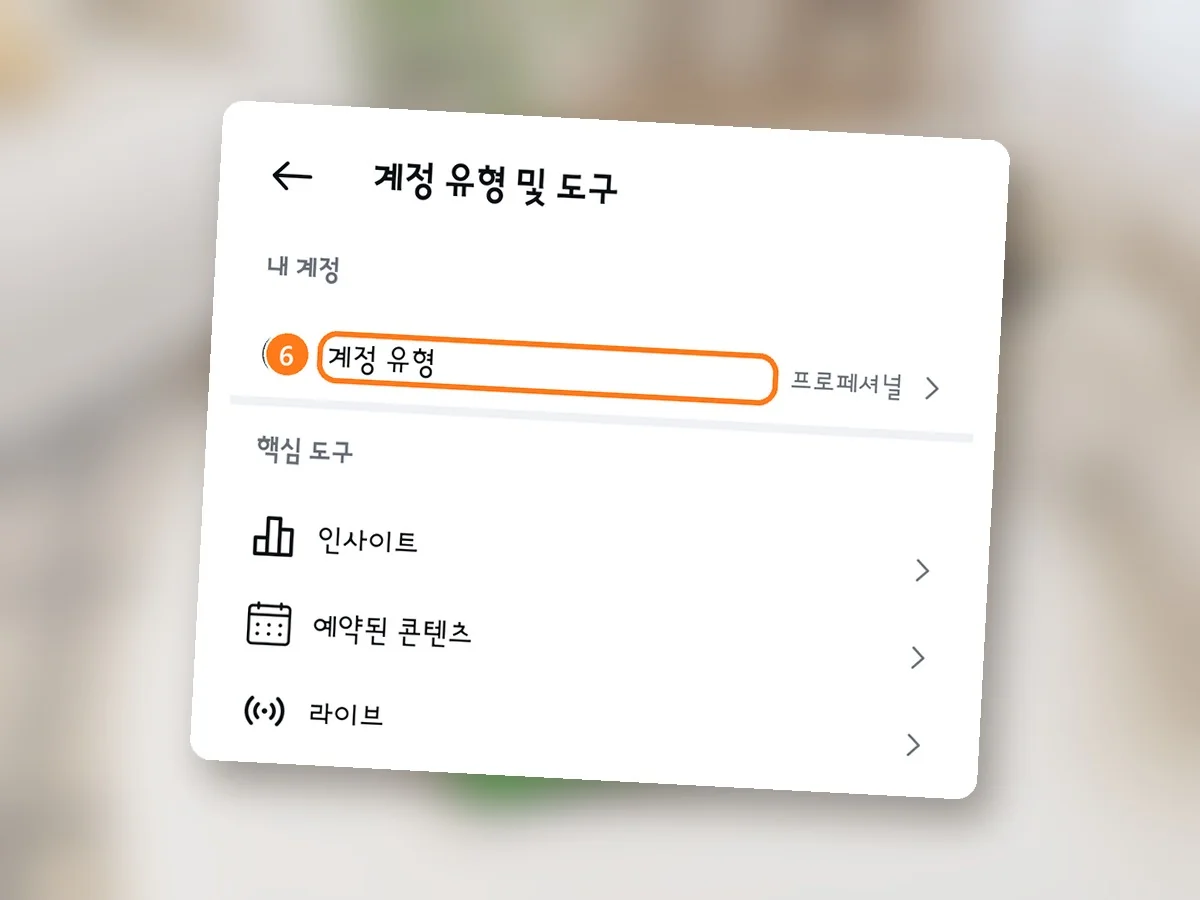 계정 유형 및 도구 화면, 계정 유형 줄에 주황 테두리와 6번, 오른쪽에 프로페셔널