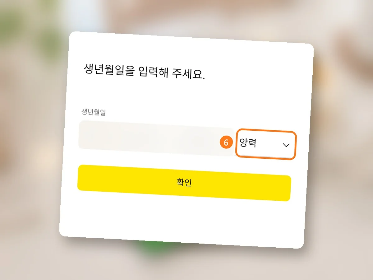 생년월일 입력 화면, 양력 고르는 칸에 주황 테두리와 6번